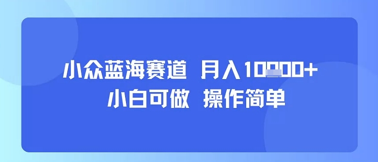 小众蓝海赛道，小白可做，操作简单，每天30分钟，月入1W+-焱冰网创资源库