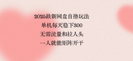 2025最新网盘自撸玩法，单机每天稳下3张，无需流量和拉人头，一个人就可轻松矩阵，全网独一份【揭秘】-焱冰网创资源库