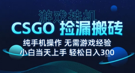 8月最新游戏搬砖，CSGO纯挂G，不需要玩游戏，实现真挂G，月入1W+【揭秘】-焱冰网创资源库