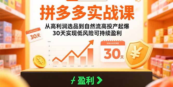 拼多多实战课：从高利润选品到自然流高投产起爆 30天实现低风险可持续盈利-焱冰网创资源库