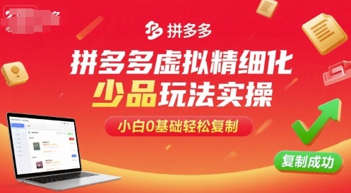 拼多多虚拟精细化少品玩法实操,小白0基础轻松复制-焱冰网创资源库