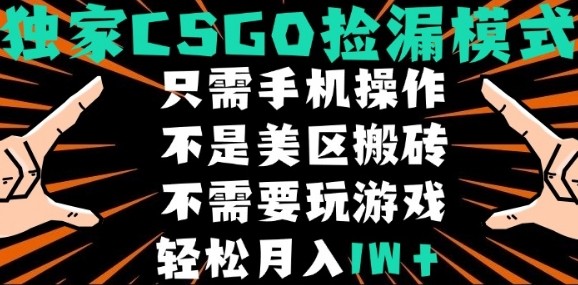 CSGO自动捡漏项目，最新独家玩法，不是美区搬砖，不需要了解和玩游戏，新手小白轻松月入1W+【揭秘】-焱冰网创资源库
