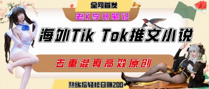 海外tiktok小说推文暴力项目,高停留率,高转化率,上手后一天搞顿饭钱不是问题-焱冰网创资源库