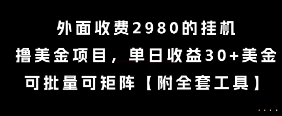 外面收费2980的挂G撸美金项目,单日收益30+美金,可批量可矩阵【揭秘】-焱冰网创资源库