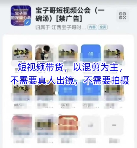 宝子哥头部团队短视频带货,以混剪为主,不需要真人出镜,不需要拍摄【更新8月】-焱冰网创资源库