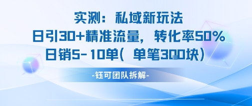 实测私域新玩法日引30加精准流量转化率50%日销5-10单每笔3张-焱冰网创资源库