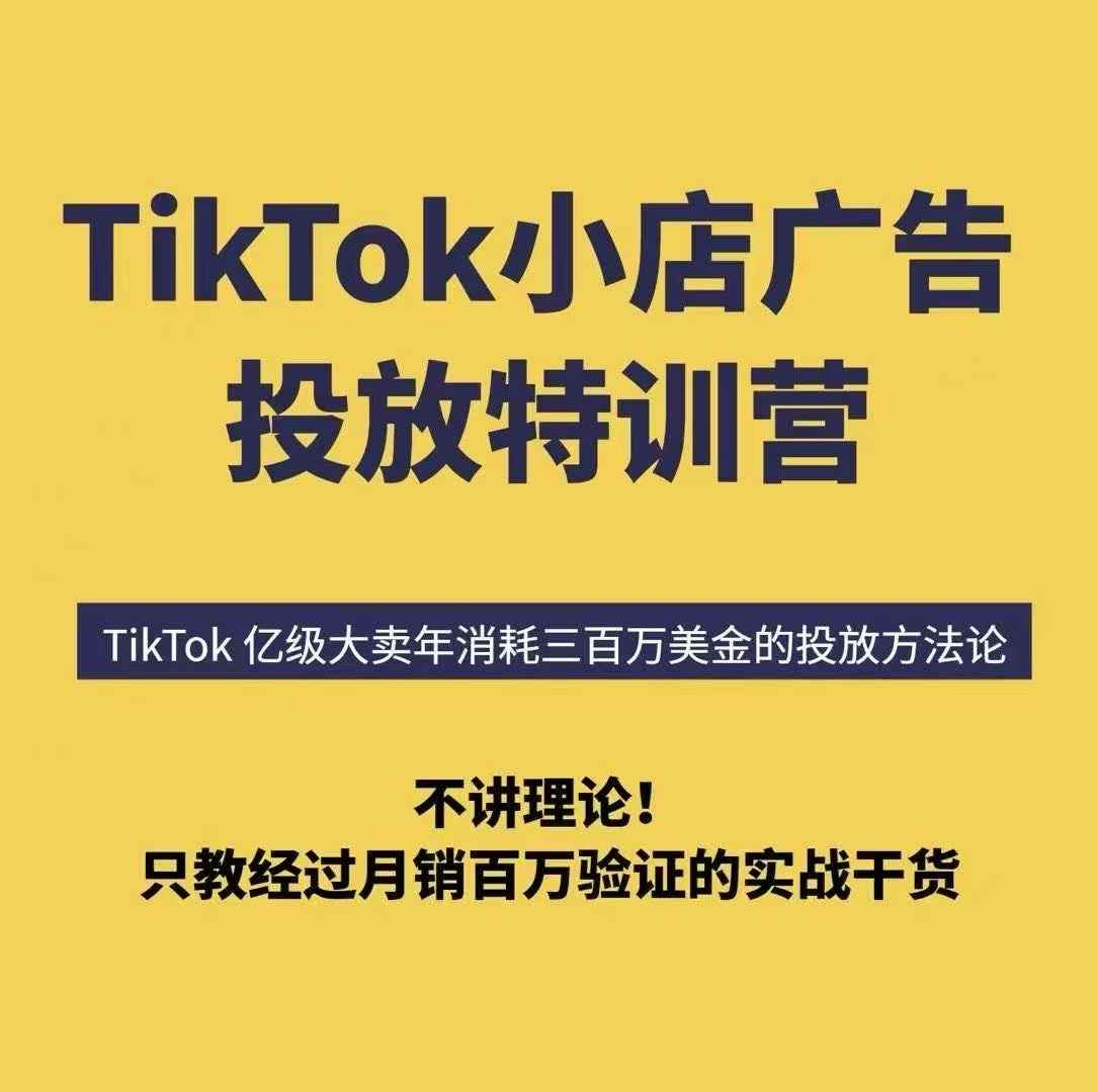 TikTok小店广告投放特训营，6天破局计划专治各种“投不动”，教你经过月销百万验证的实战干货-焱冰网创资源库