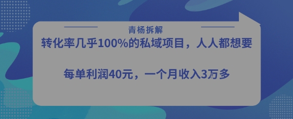 转化率最高的私域项目,每单利润40-50米,月入过1w-焱冰网创资源库