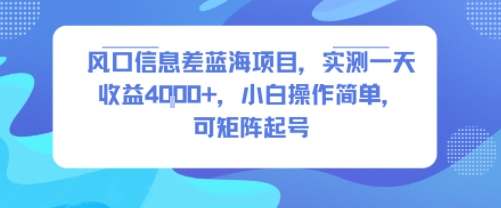 风口信息差蓝海项目,实测一天收益4k+,小白操作简单,可矩阵起号-焱冰网创资源库