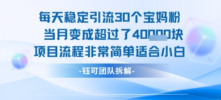 每天稳定引流30个人 当月变成超过了4个W项目流程非常简单适合小白-焱冰网创资源库