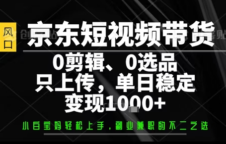 你出账号,我来运营,保底日入1k+,开启躺賺模式【揭秘】-焱冰网创资源库