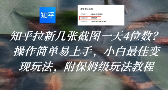 知乎拉新几张截图一天4位数？操作简单易上手，小白最佳变现玩法，附保姆级玩法教程-焱冰网创资源库