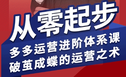 拼多多运营进阶系统课，从零起步，多多运营进阶体系课，破茧成蝶的运营之术-焱冰网创资源库