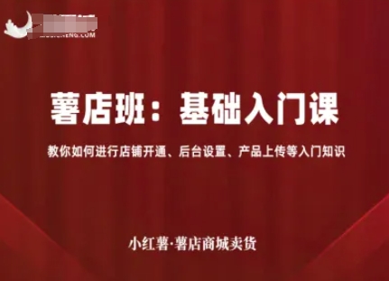 小红薯薯店商城卖货,基础入门课,教你如何进行店铺开通、后台设置、产品上传等入门知识-焱冰网创资源库
