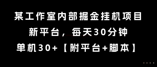 某工作室内部掘金挂G项目，新平台，每天30分钟，单机30+【揭秘】-焱冰网创资源库