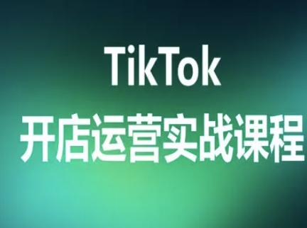 TikTok开店运营实战课程，TK跨境电商实操全流程-焱冰网创资源库