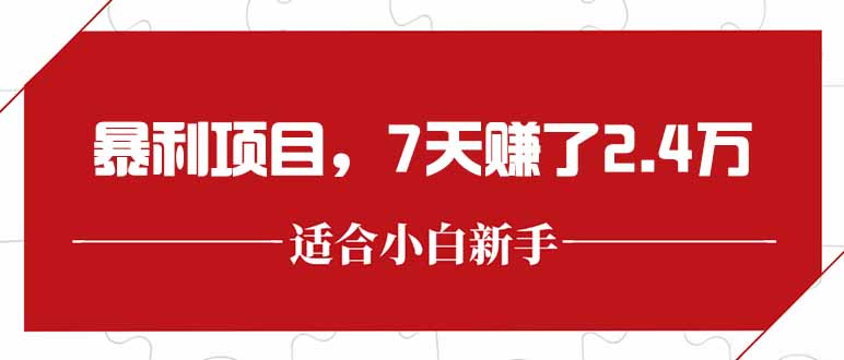 最新暴利项目，每单收益轻松在300以上，7天赚了2.4万-焱冰网创资源库
