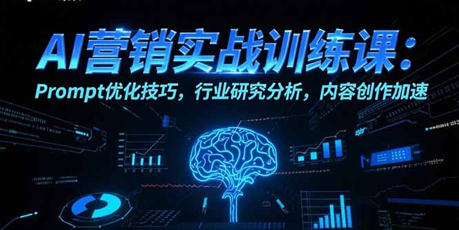 AI营销实战训练课：Prompt优化技巧，行业研究分析，内容创作加速-焱冰网创资源库