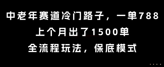 中老年赛道冷门路子，一单788，上个月出了1500单，全流程玩法，保底模式【揭秘】-焱冰网创资源库