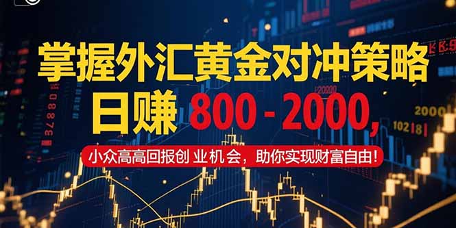 掌握外汇黄金对冲策略，日赚 800 – 2000，小众高回报创业机会，助你实…-焱冰网创资源库