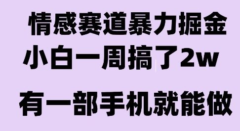 情感暴力掘金项目，新人操作一周挣了2W，长期稳定小白可做【揭秘】-焱冰网创资源库