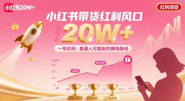 一年时间靠小红书带货项目年入20w+,最不能错的大红利项目-焱冰网创资源库