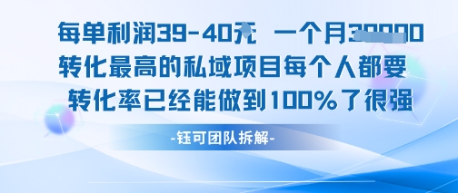 每单利润40一个月7k+转化最高的私域项目，每个人都要的产品转化率已经能做到100%-焱冰网创资源库