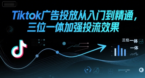 Tiktok广告投放从入门到精通,三位一体加强投流效果-焱冰网创资源库