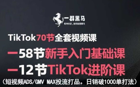 TikTok全套视频课，新手入门+进阶课，短视频ADS-GMV MAX投流打品，日销破1000单打法-焱冰网创资源库