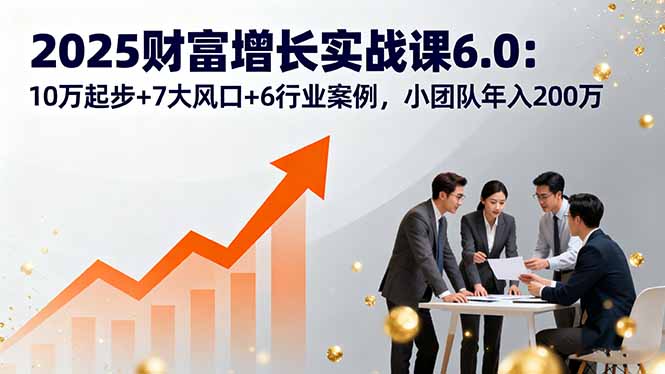 2025财富增长实战课6.0：10万起步+7大风口+6行业案例，小团队年入200万-焱冰网创资源库