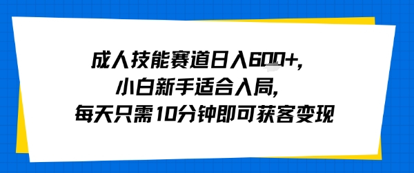 成人技能赛道日入多张，小白新手适合入局，每天只需10分钟即可获客变现-焱冰网创资源库