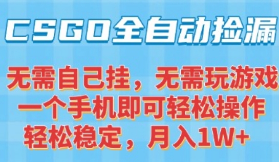 CSGO自动捡漏项目，最新独家玩法，一个手机可操作，新手小白轻松月入1W+，操作简单易上手【揭秘】-焱冰网创资源库