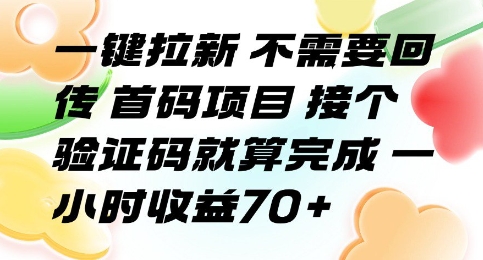 一键拉新 不需要回传 首码项目 接个验证码就算完成 一小时收益70+【揭秘】-焱冰网创资源库