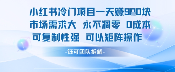 小红书冷门项目一天收益9张，市场需求大，0成本，可复制性强可以矩阵操作-焱冰网创资源库